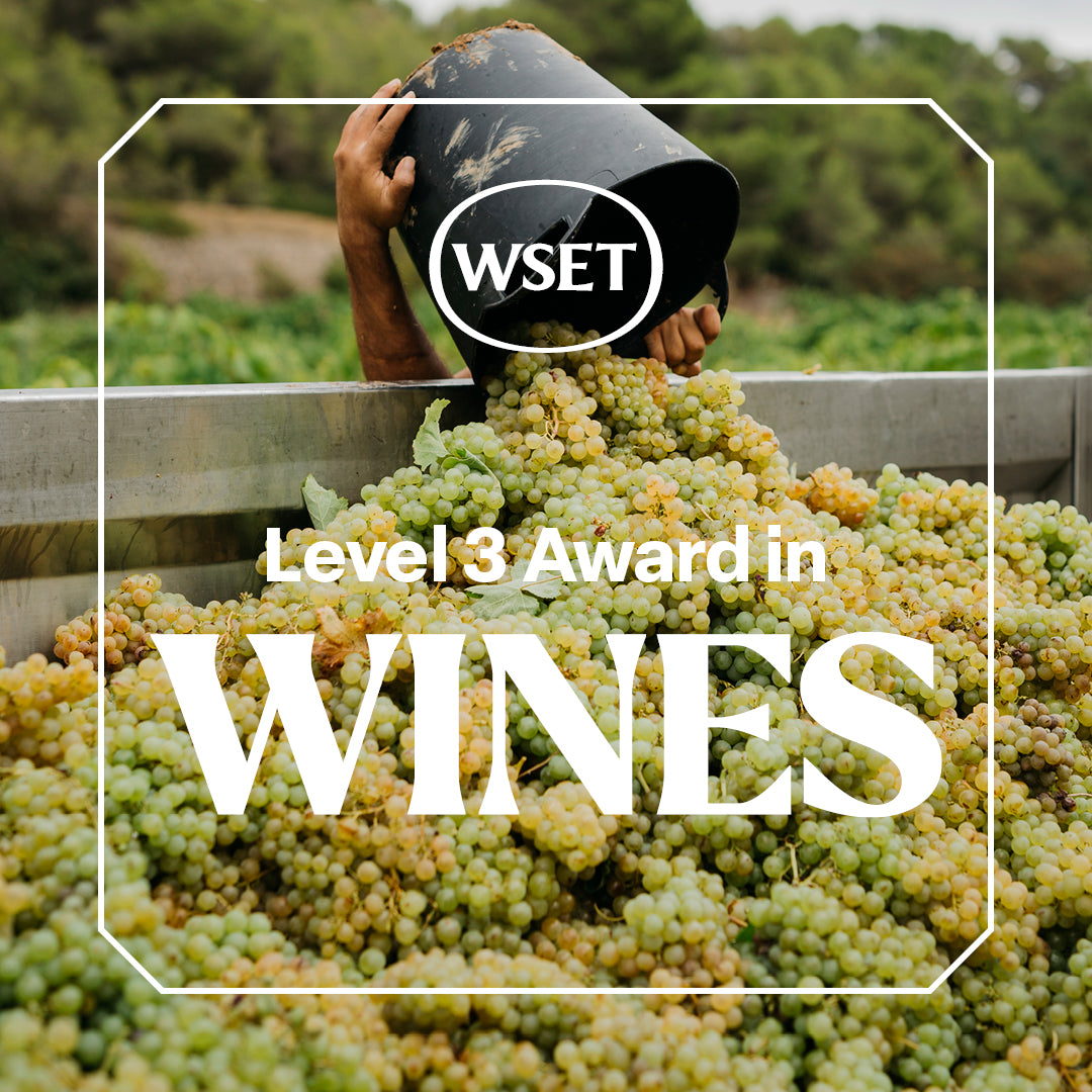 Kit Cata de Vinos WSET Nivel 3