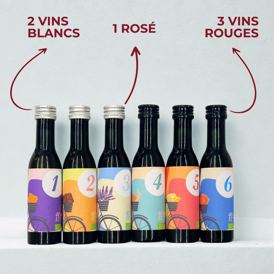Kit de Cata: 6 Vinos Bio de Francia (Formato 40ml)