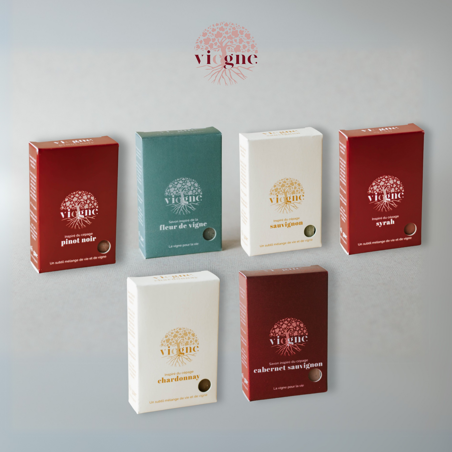 Kit of 6 Vie.gne Soaps
