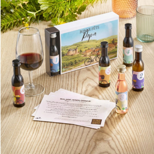 Organic French Wine Tasting Kit: 6-Bottle Discovery Set (40ml)