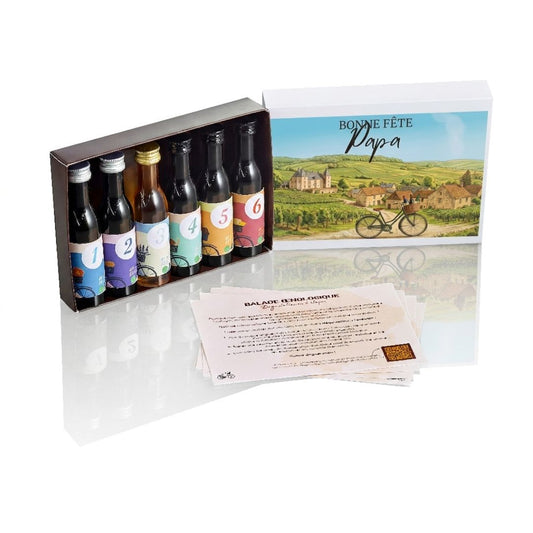 Organic French Wine Tasting Kit: 6-Bottle Discovery Set (40ml)
