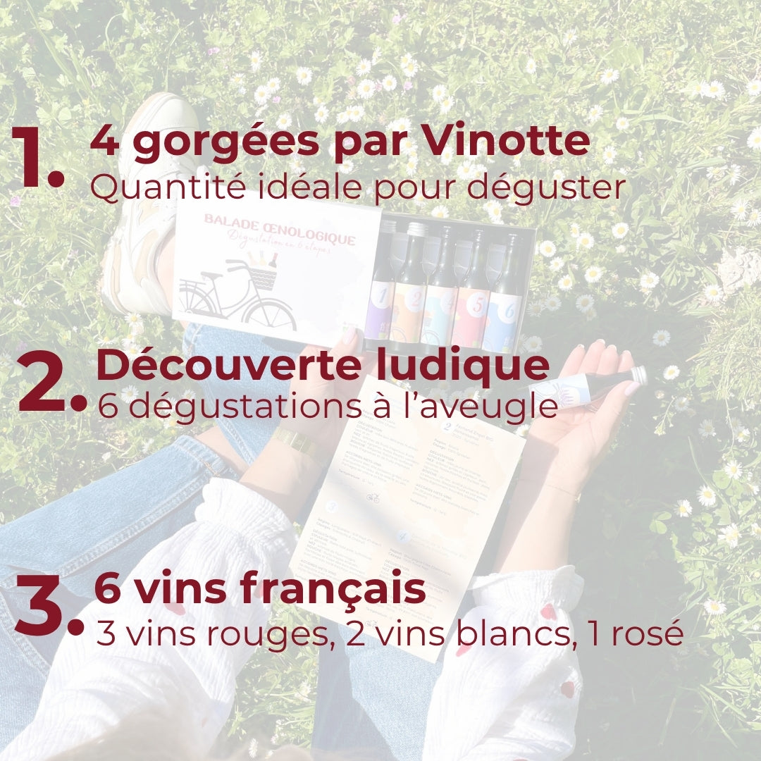 Coffret dégustation "La Balade Oenologique" - 6 vins bio de France 