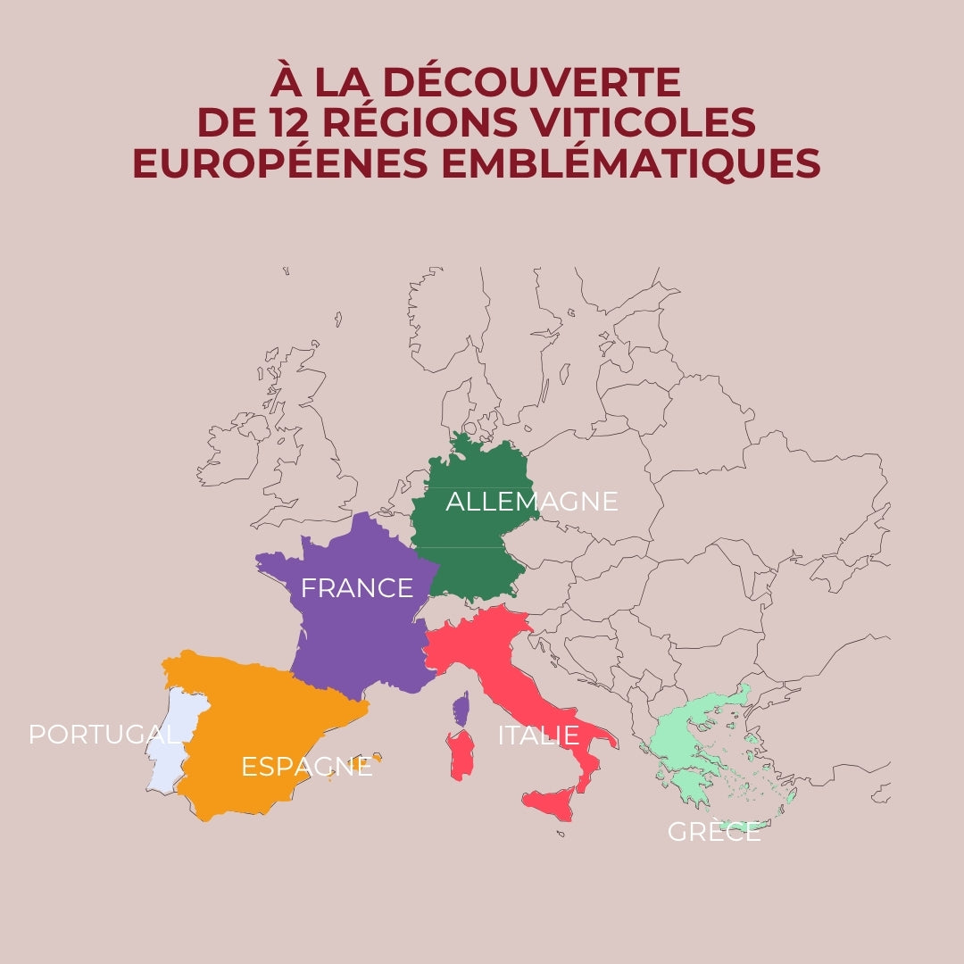 Coffret dégustation - 12 grands vins d'Europe