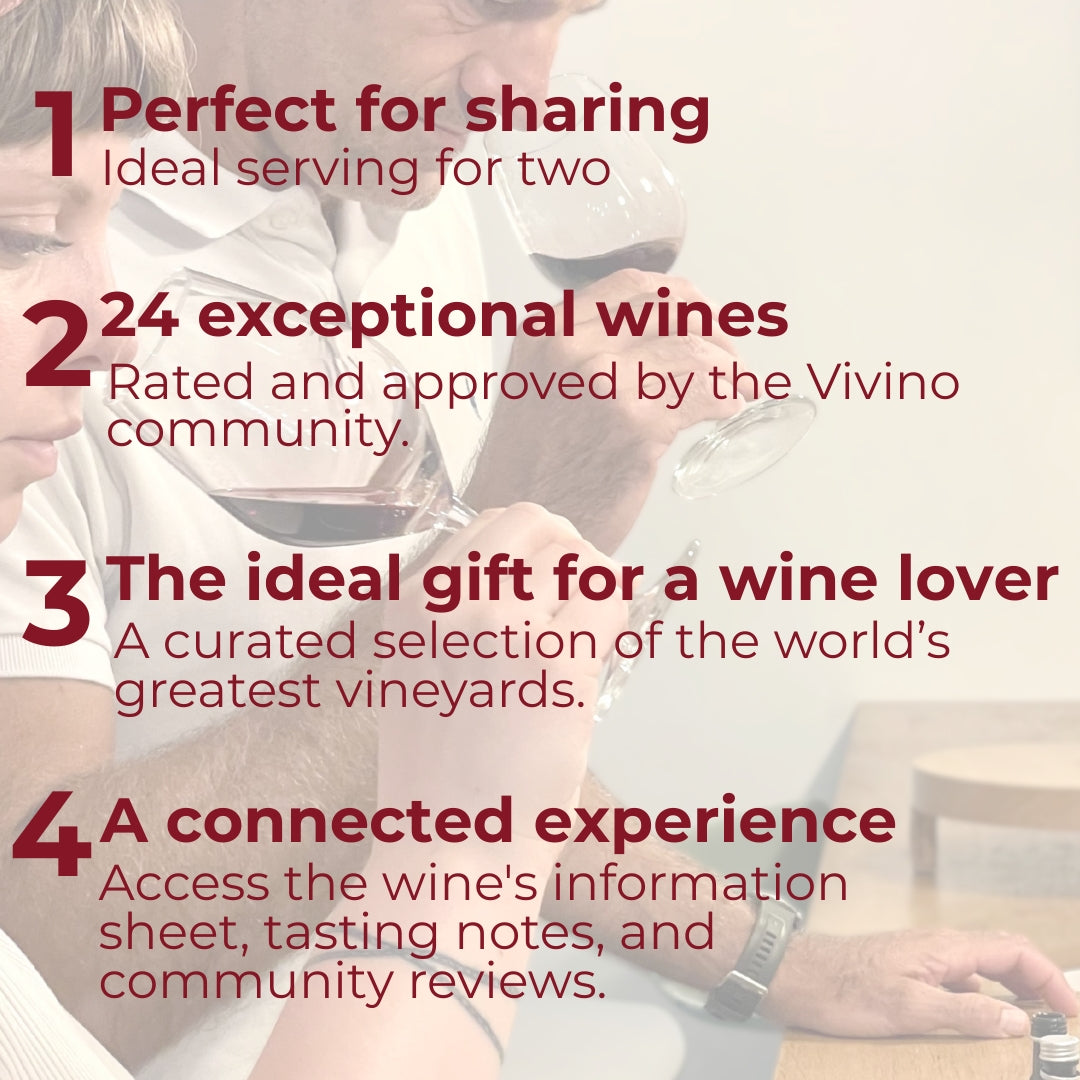 Wine Advent Calendar - "The cellar - Vivino Wines"
