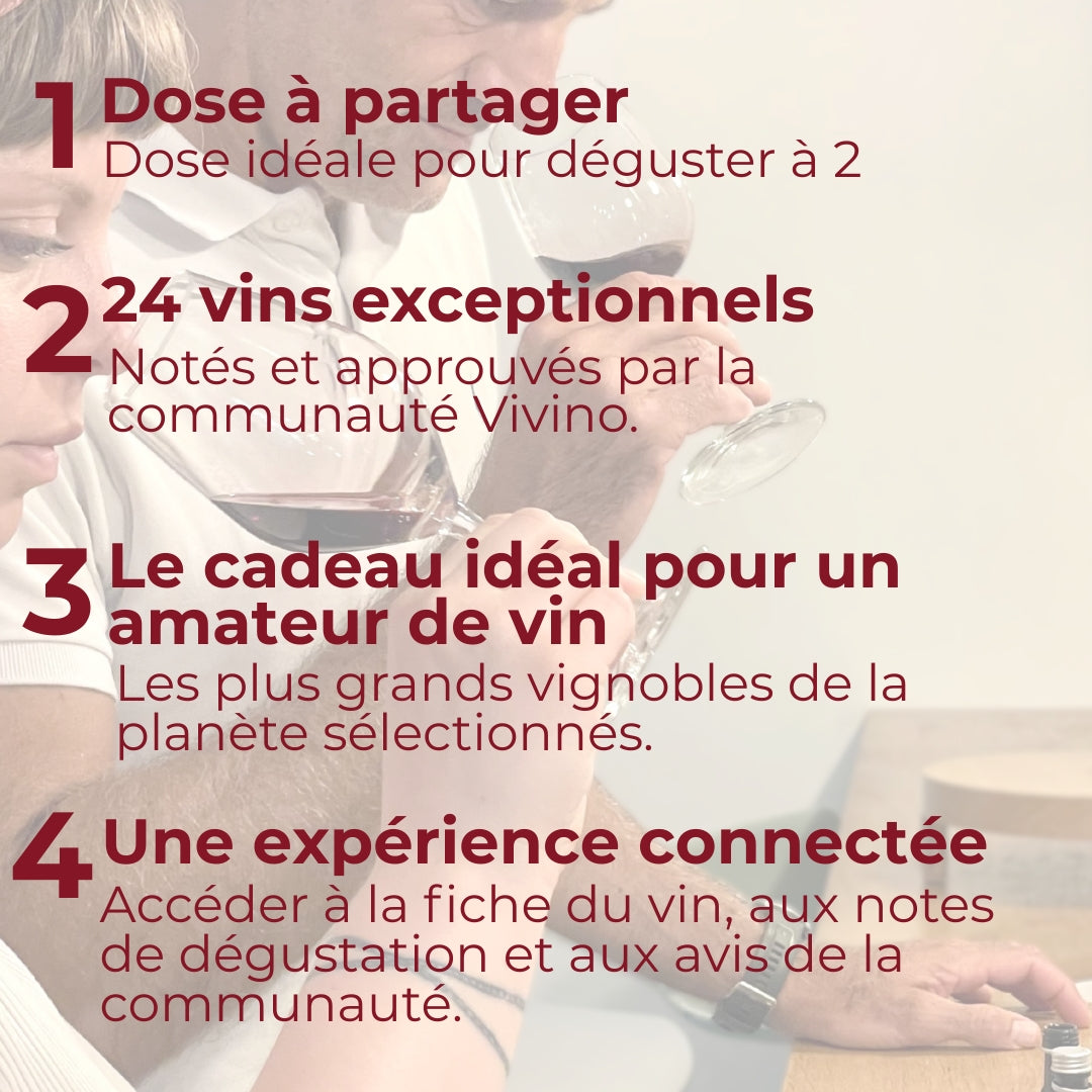 Wine Advent Calendar - "The cellar - Vivino Wines"