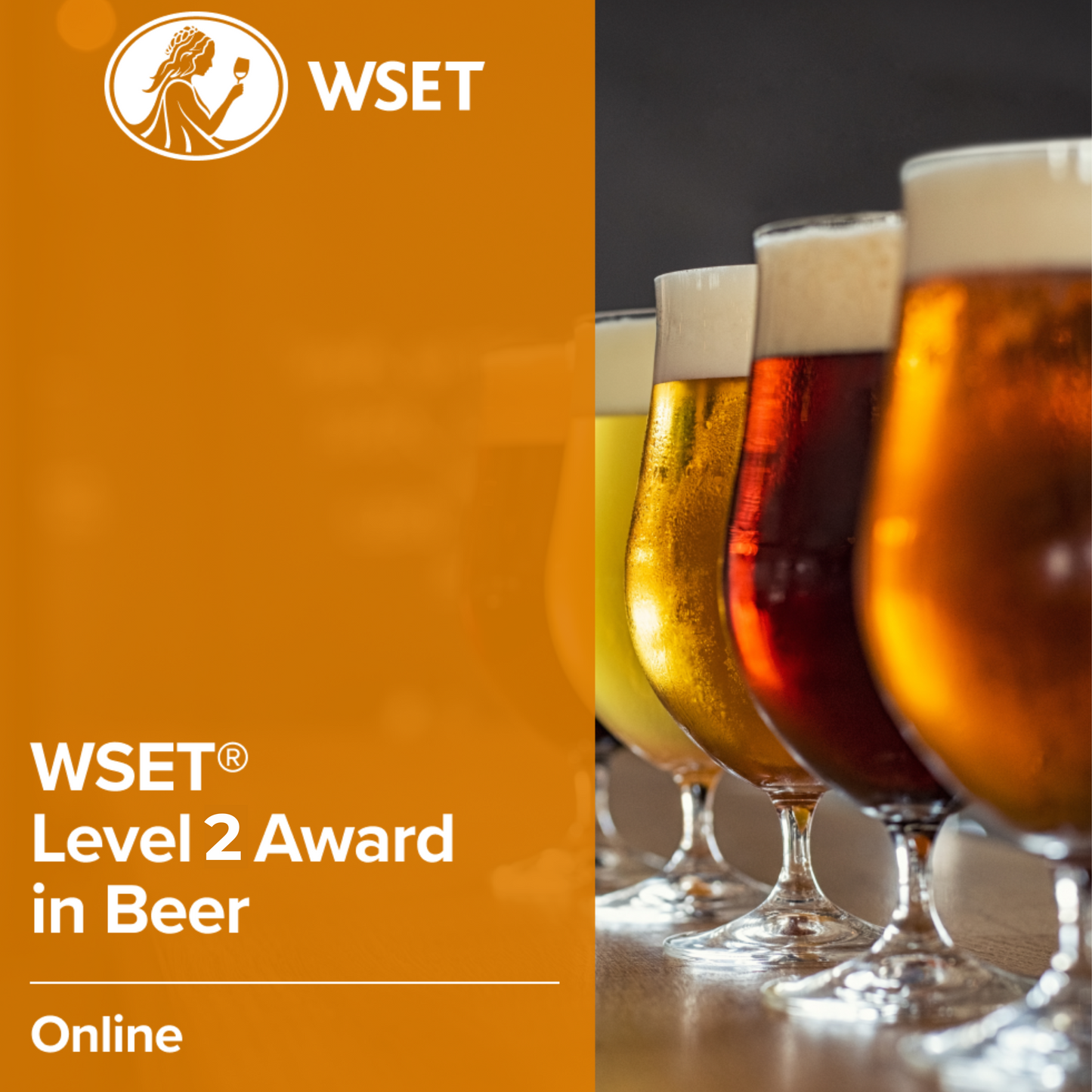Kit de Cata de Cerveza WSET Nivel 2
